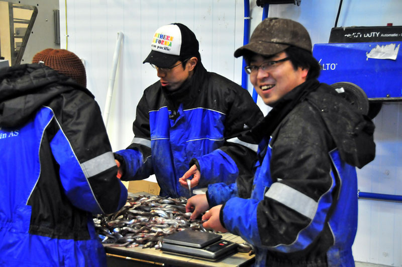 Scandinavie, Norvge, Sude, Finlande